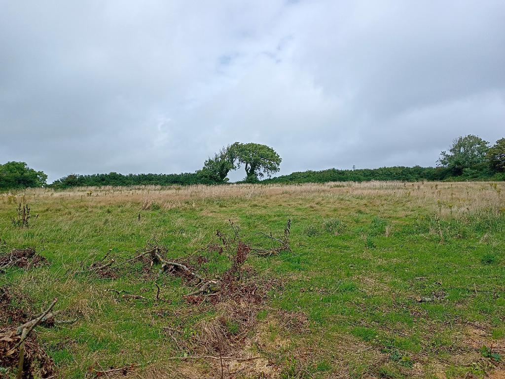 3 Bedroom Detached House With Land for Sale in Haverfordwest, SA62 3ET