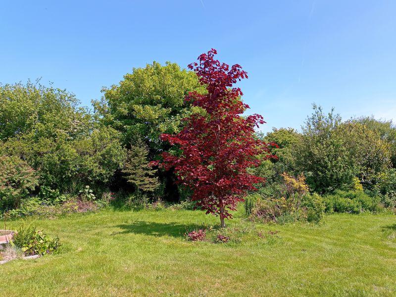 3 Bedroom Detached House With Land for Sale in Newcastle Emlyn, SA38 9JE