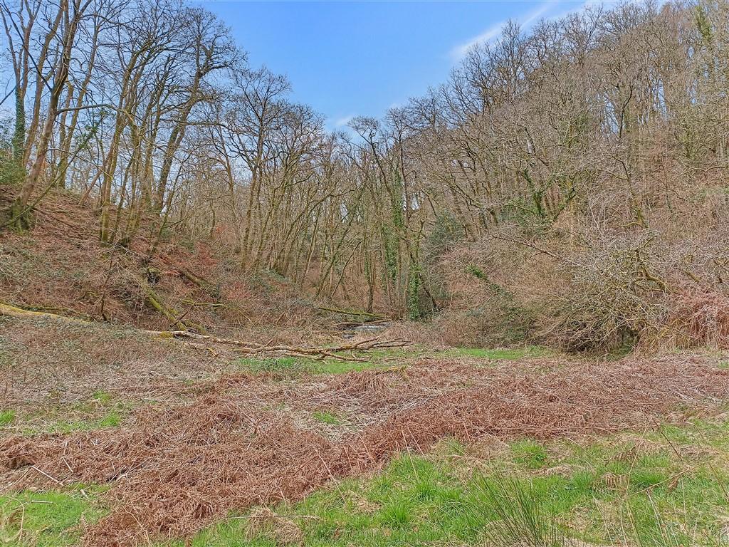 5 Bedroom Two Cottages With Land for Sale in Llandysul, SA44 4PA
