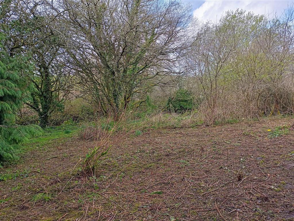 3 Bedroom Detached Bungalow With Land for Sale in Ponthirwaun, Nr Cardigan, SA43 2RJ