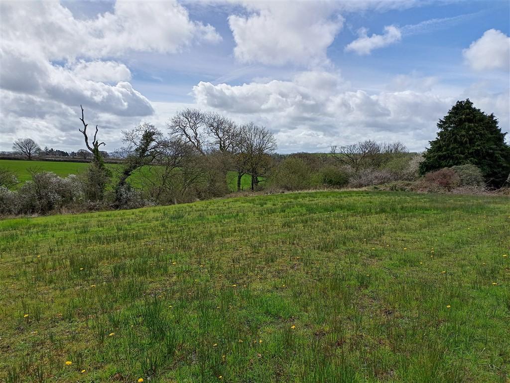 3 Bedroom Detached Bungalow With Land for Sale in Ponthirwaun, Nr Cardigan, SA43 2RJ