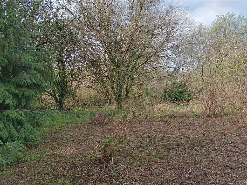 3 Bedroom Detached Bungalow With Land for Sale in Ponthirwaun, Nr Cardigan, SA43 2RJ