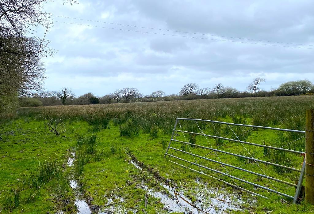 Farmland for Sale in Cardigan, SA43 2RD