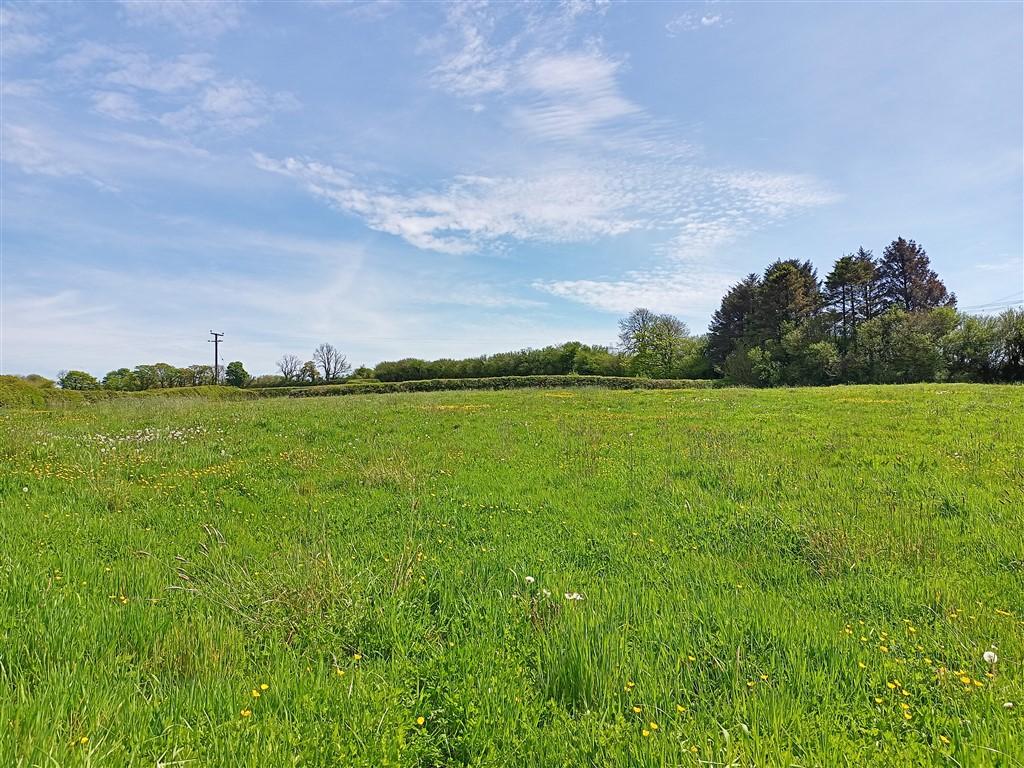 4 Bedroom Smallholding for Sale in Pontantwn, Kidwelly, SA17 5LN