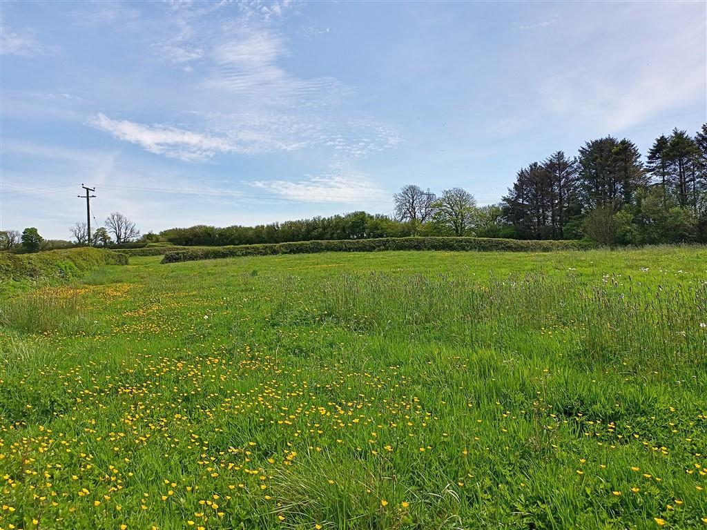 4 Bedroom Smallholding for Sale in Pontantwn, Kidwelly, SA17 5LN