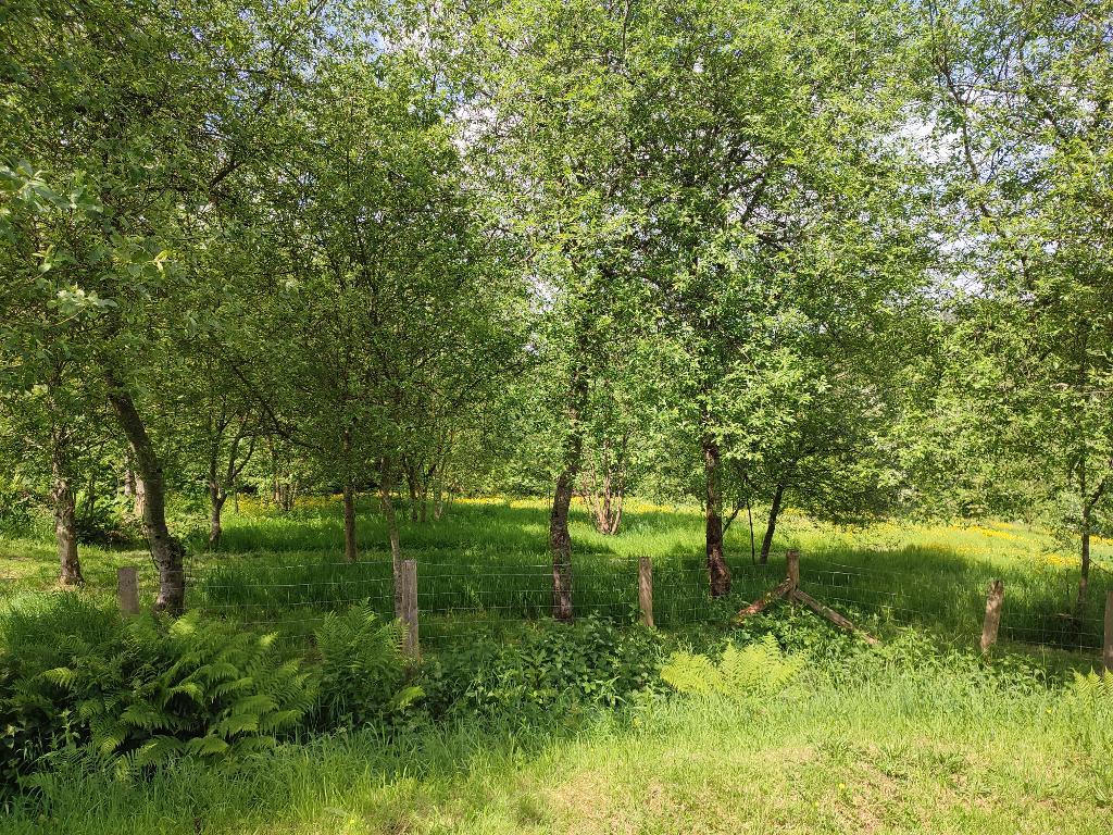 7 Bedroom Farmhouse And Cottage With Land for Sale in Llandysul, SA44 4RT