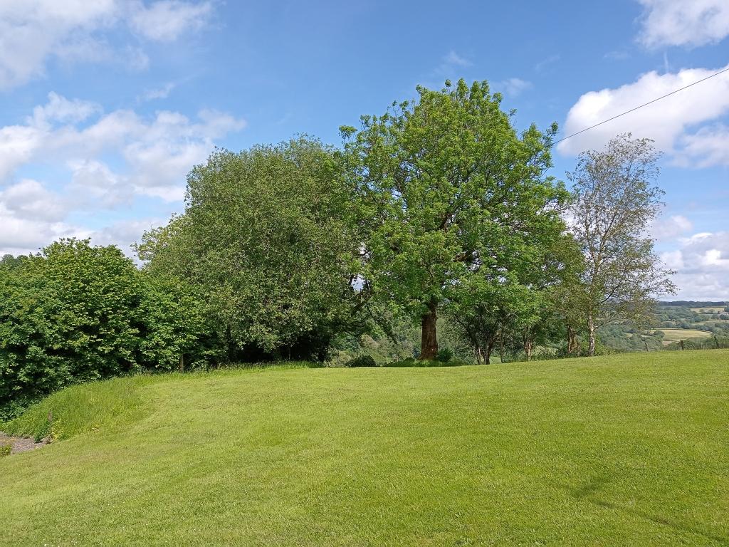 7 Bedroom Farmhouse And Cottage With Land for Sale in Llandysul, SA44 4RT