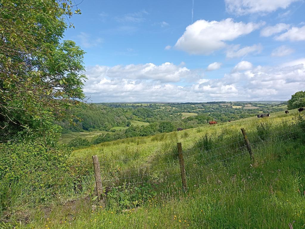 7 Bedroom Farmhouse And Cottage With Land for Sale in Llandysul, SA44 4RT