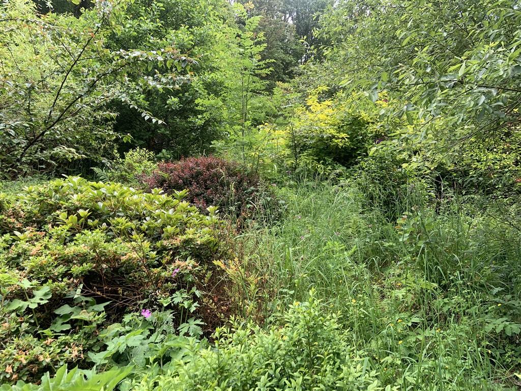 3 Bedroom Detached House With Land for Sale in Llandysul, SA44 5HR