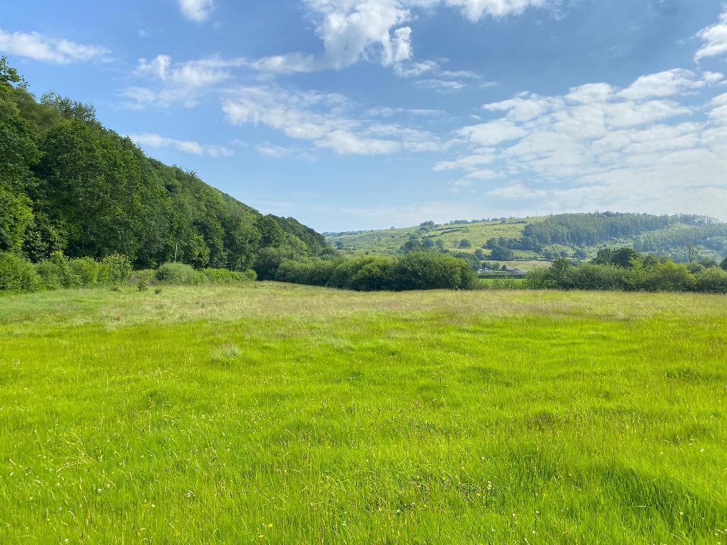 5 Bedroom Two Cottages With Land for Sale in Llandysul, SA44 4PA