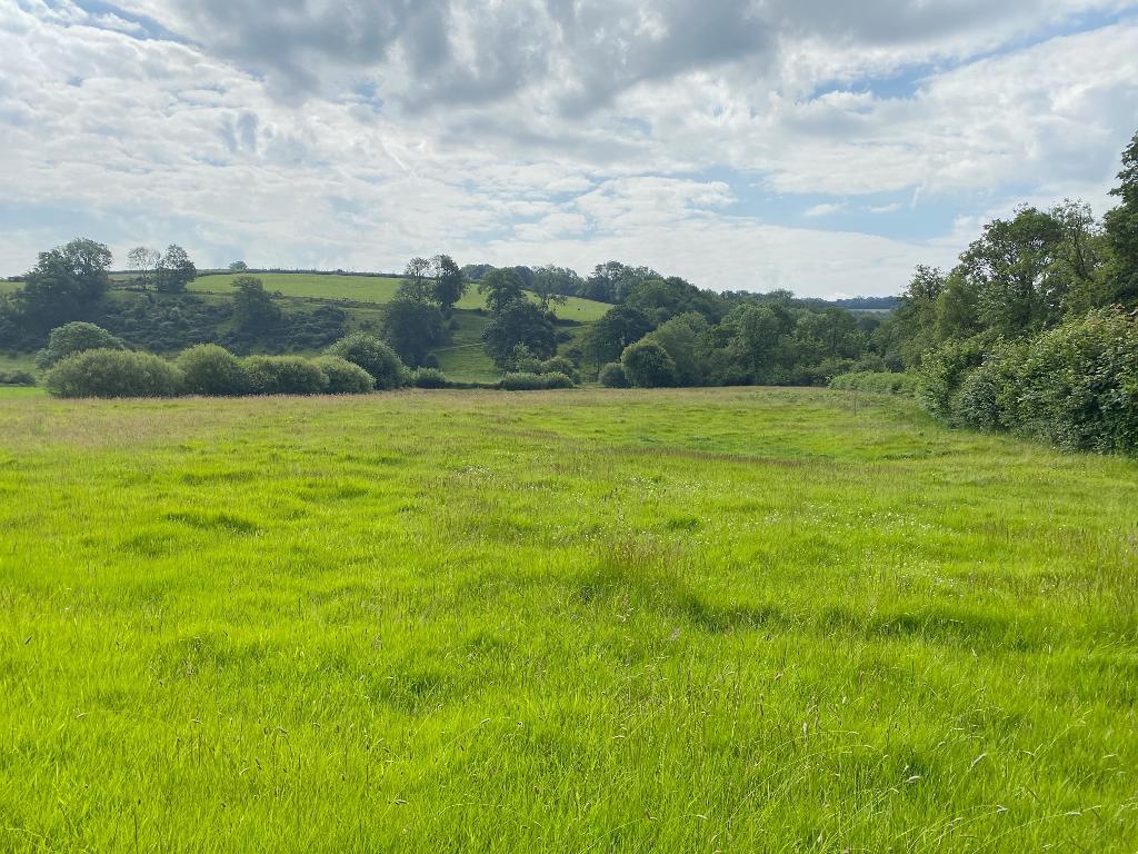 5 Bedroom Two Cottages With Land for Sale in Llandysul, SA44 4PA