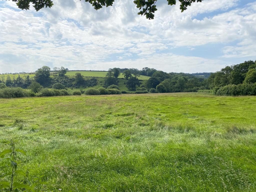 5 Bedroom Two Cottages With Land for Sale in Llandysul, SA44 4PA
