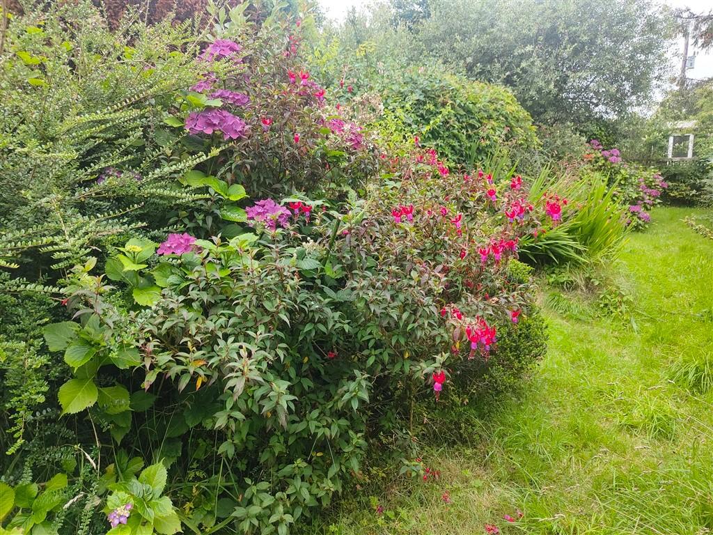 4 Bedroom Detached House for Sale in Clynderwen, SA66 7UT