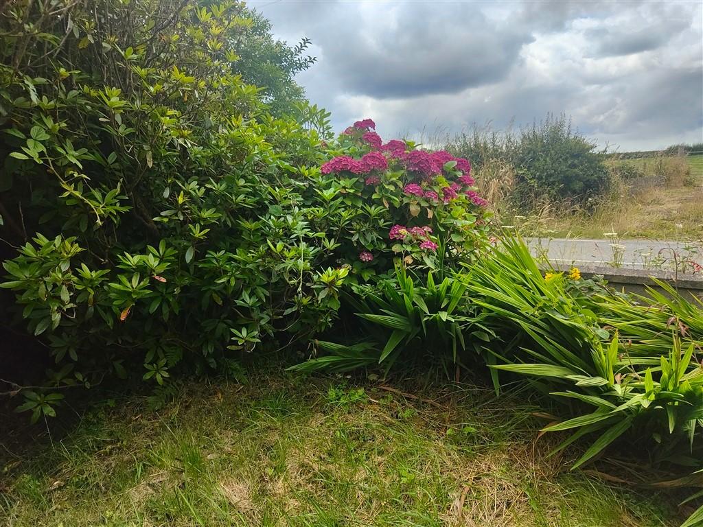 4 Bedroom Detached House for Sale in Clynderwen, SA66 7UT