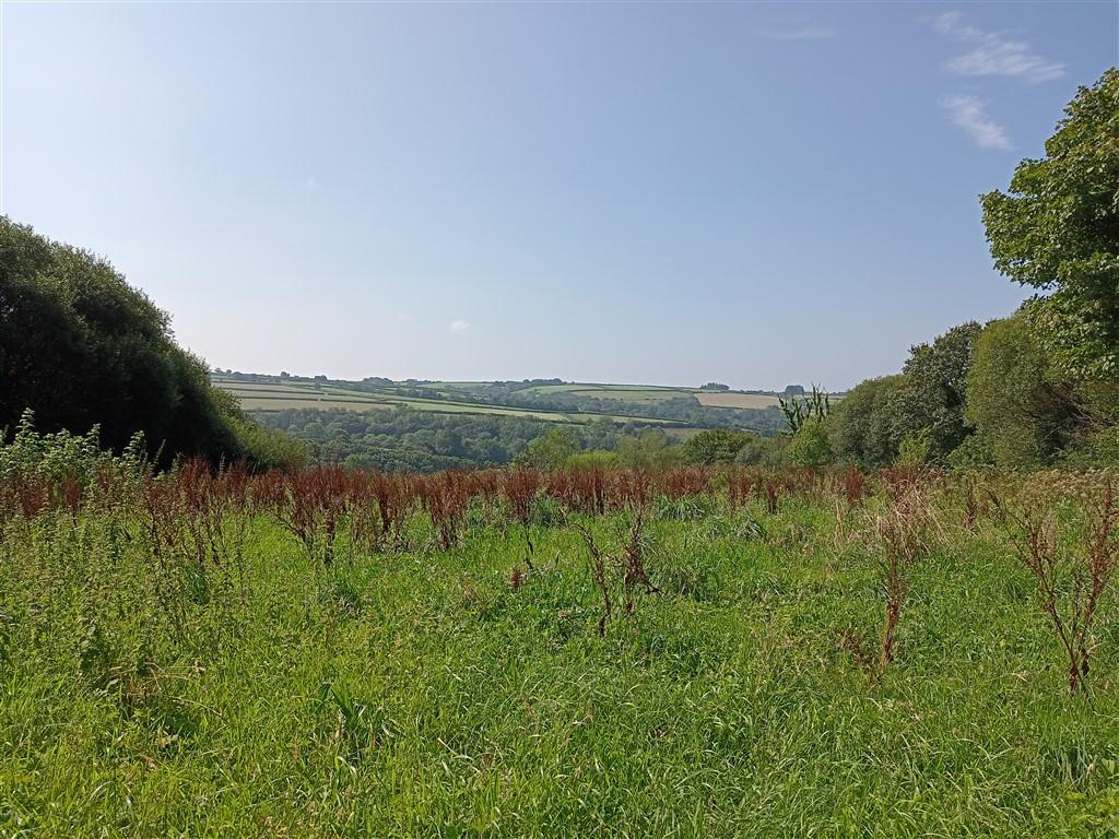 2 Bedroom Property With Land for Sale in Newcastle Emlyn, SA38 9NJ