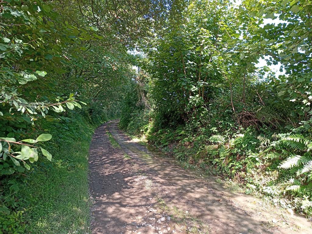 2 Bedroom Property With Land for Sale in Newcastle Emlyn, SA38 9NJ