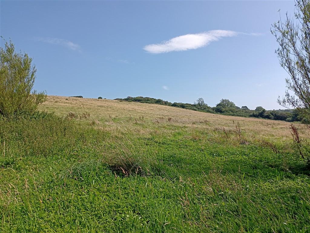 2 Bedroom Property With Land for Sale in Newcastle Emlyn, SA38 9NJ