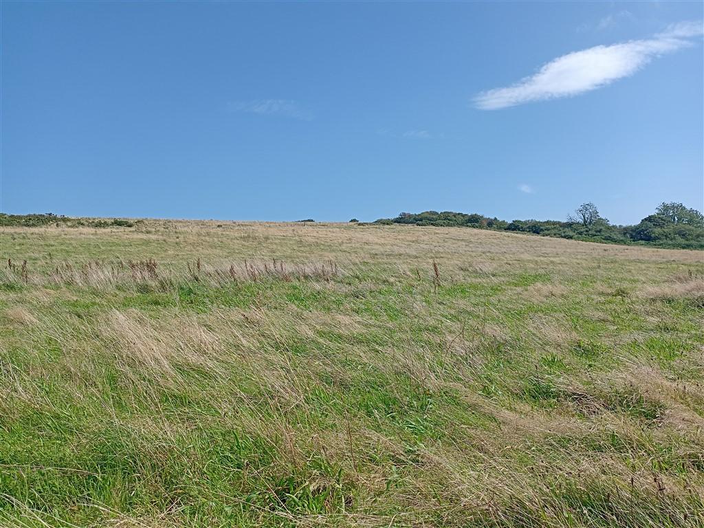 2 Bedroom Property With Land for Sale in Newcastle Emlyn, SA38 9NJ