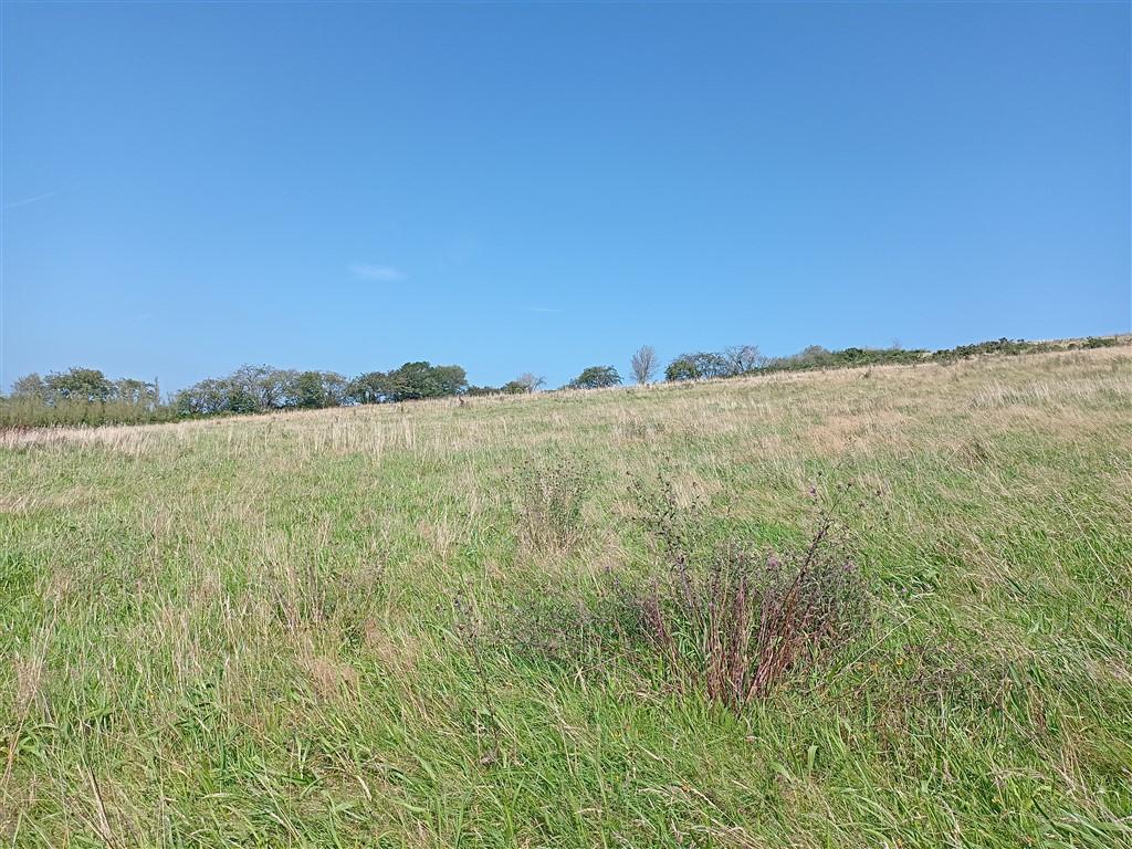 2 Bedroom Property With Land for Sale in Newcastle Emlyn, SA38 9NJ