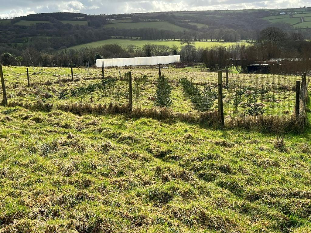 2 Bedroom Property With Land for Sale in Newcastle Emlyn, SA38 9NJ