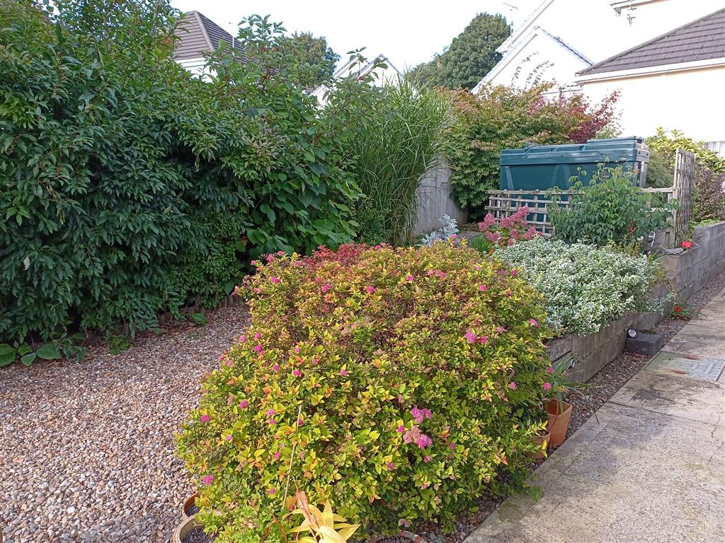 3 Bedroom Detached Bungalow for Sale in Newcastle Emlyn, SA38 9NP
