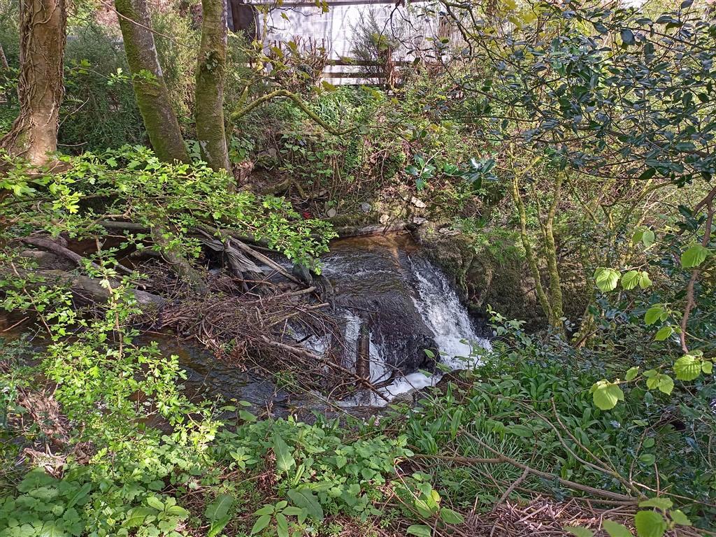 5 Bedroom Detached Bungalow for Sale in Cwmduad, Carmarthen, SA33 6XT