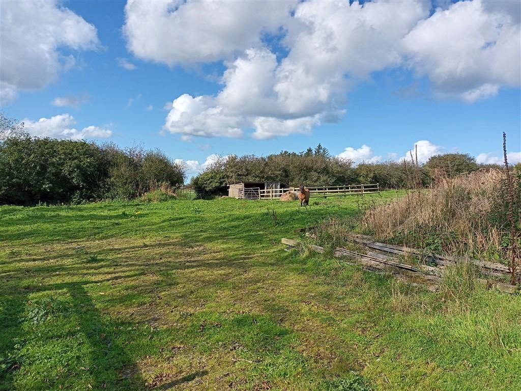3 Bedroom Smallholding for Sale in Tanygroes, Cardigan, SA43 2HZ