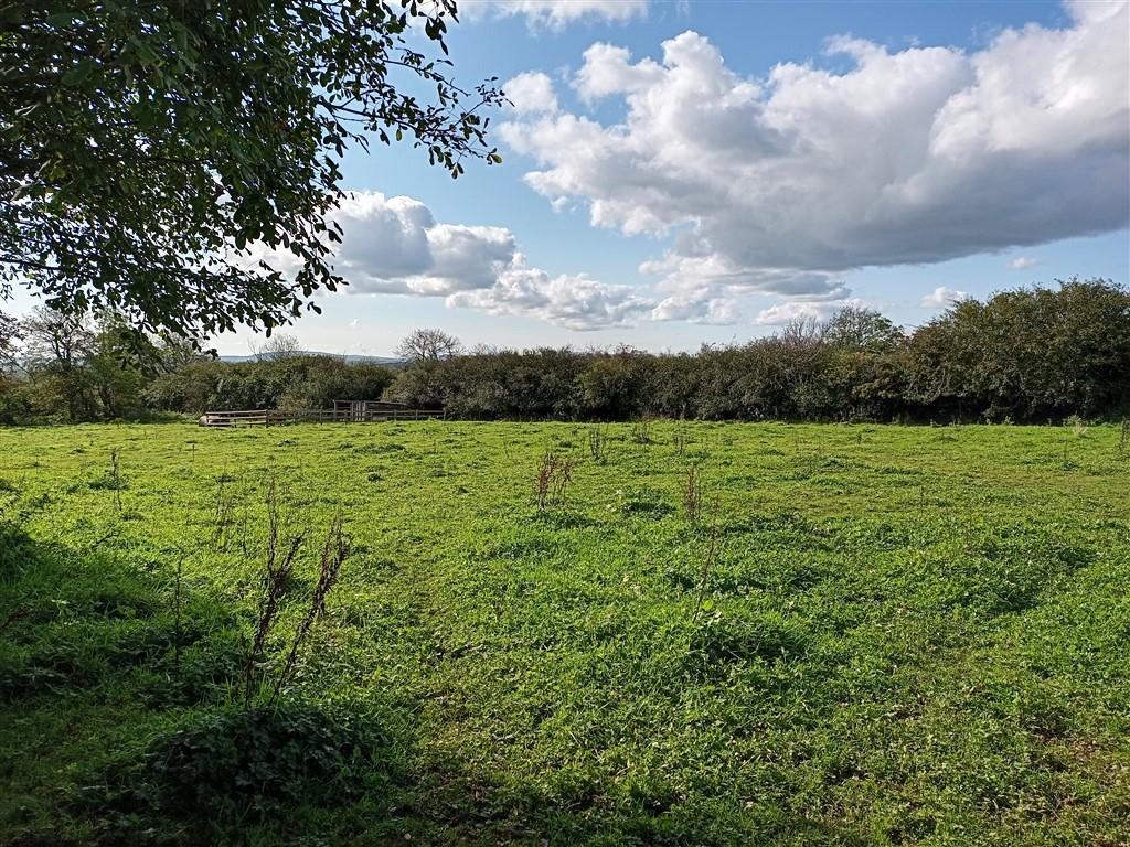 3 Bedroom Smallholding for Sale in Tanygroes, Cardigan, SA43 2HZ