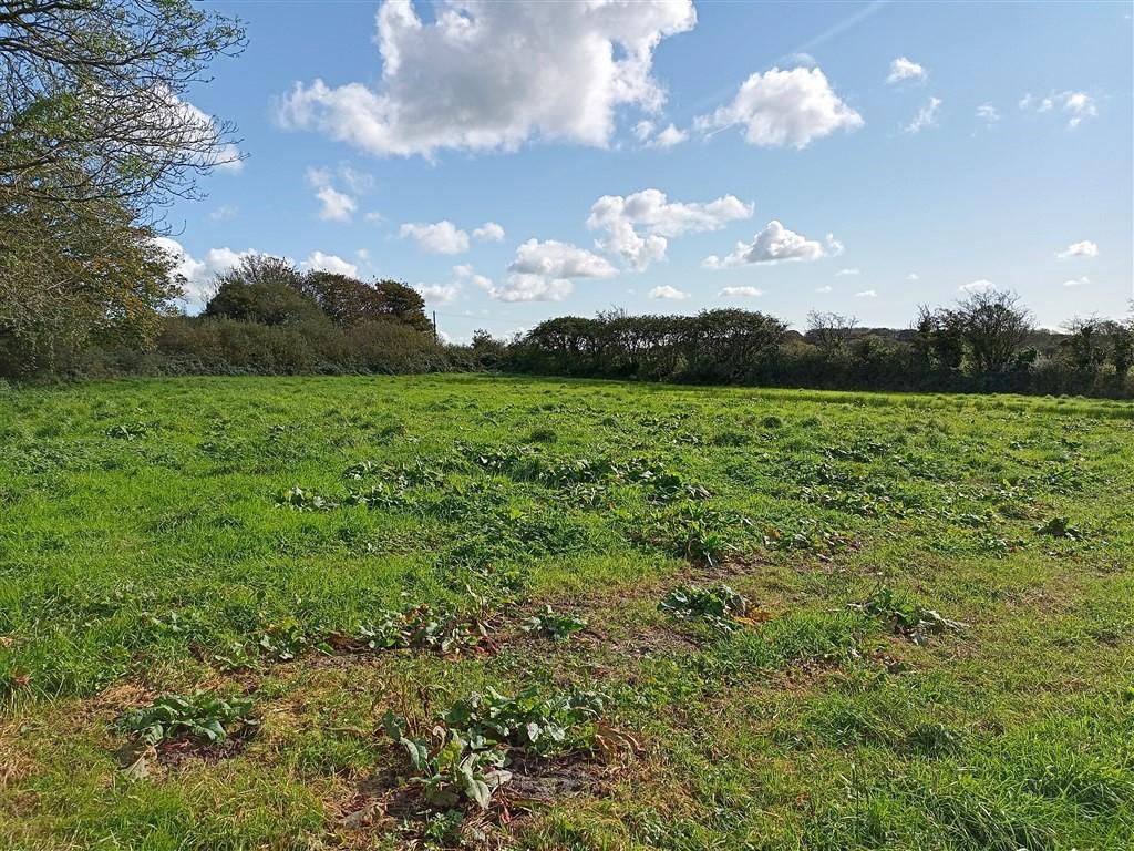 3 Bedroom Smallholding for Sale in Tanygroes, Cardigan, SA43 2HZ