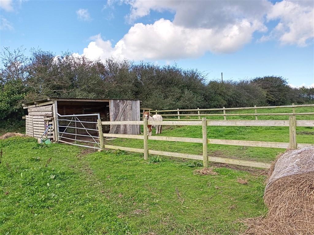 3 Bedroom Smallholding for Sale in Tanygroes, Cardigan, SA43 2HZ