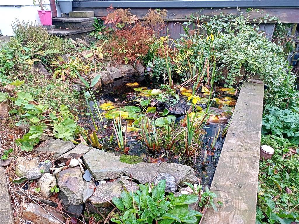 3 Bedroom Detached Bungalow for Sale in Newcastle Emlyn, SA38 9EL