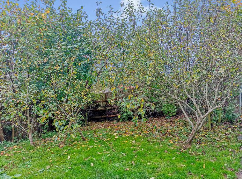3 Bedroom Detached Bungalow for Sale in Newcastle Emlyn, SA38 9EL