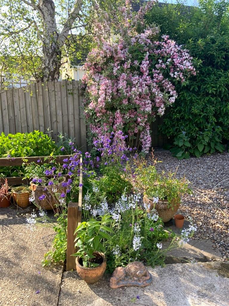 3 Bedroom Detached Bungalow for Sale in Newcastle Emlyn, SA38 9NP