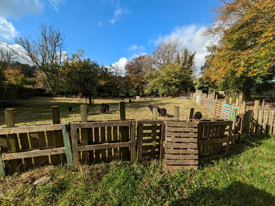 4 Bedroom Detached House for Sale in Llangeler, Llandysul, SA44 5EY
