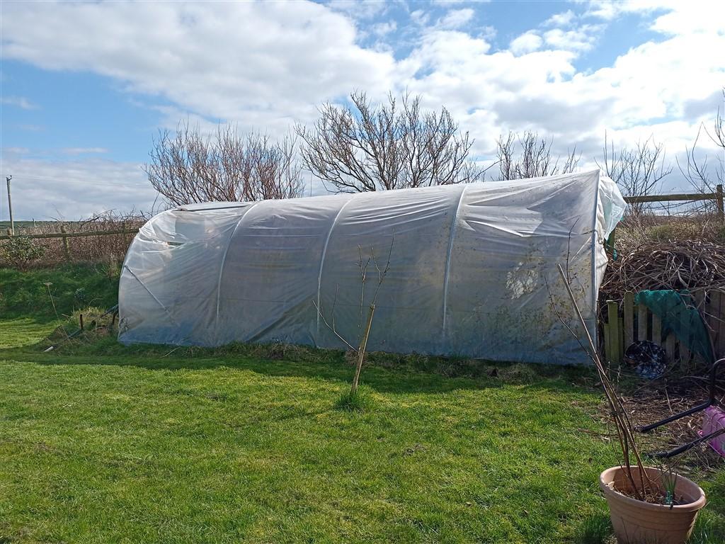 3 Bedroom Detached Bungalow for Sale in Cardigan, SA43 1SA