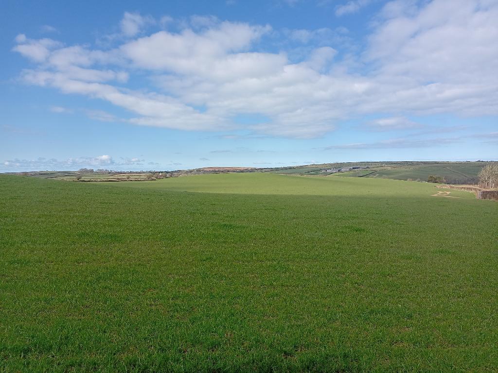 3 Bedroom Detached Bungalow for Sale in Cardigan, SA43 1SA