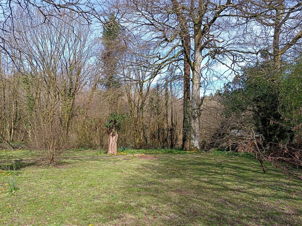 2 Bedroom Cottage for Sale in Ponthirwaun, SA43 2RE