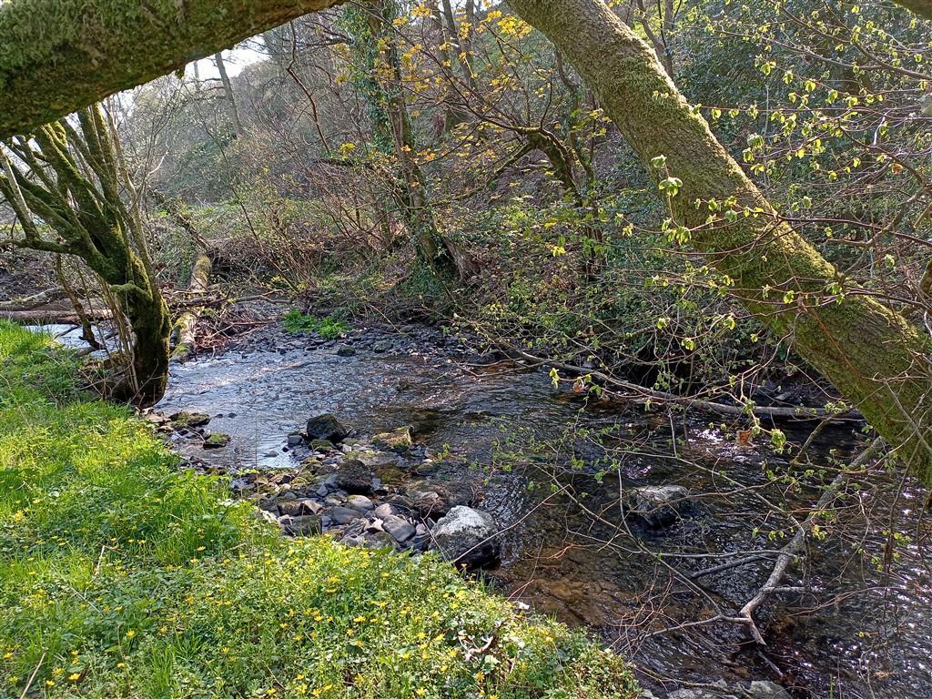5 Bedroom Two Cottages With Land for Sale in Llandysul, SA44 4PA