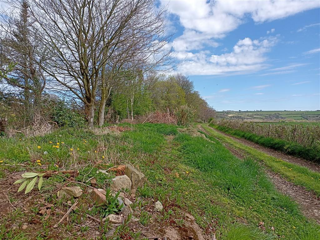 3 Bedroom Detached House for Sale in Llandysul, SA44 5LN