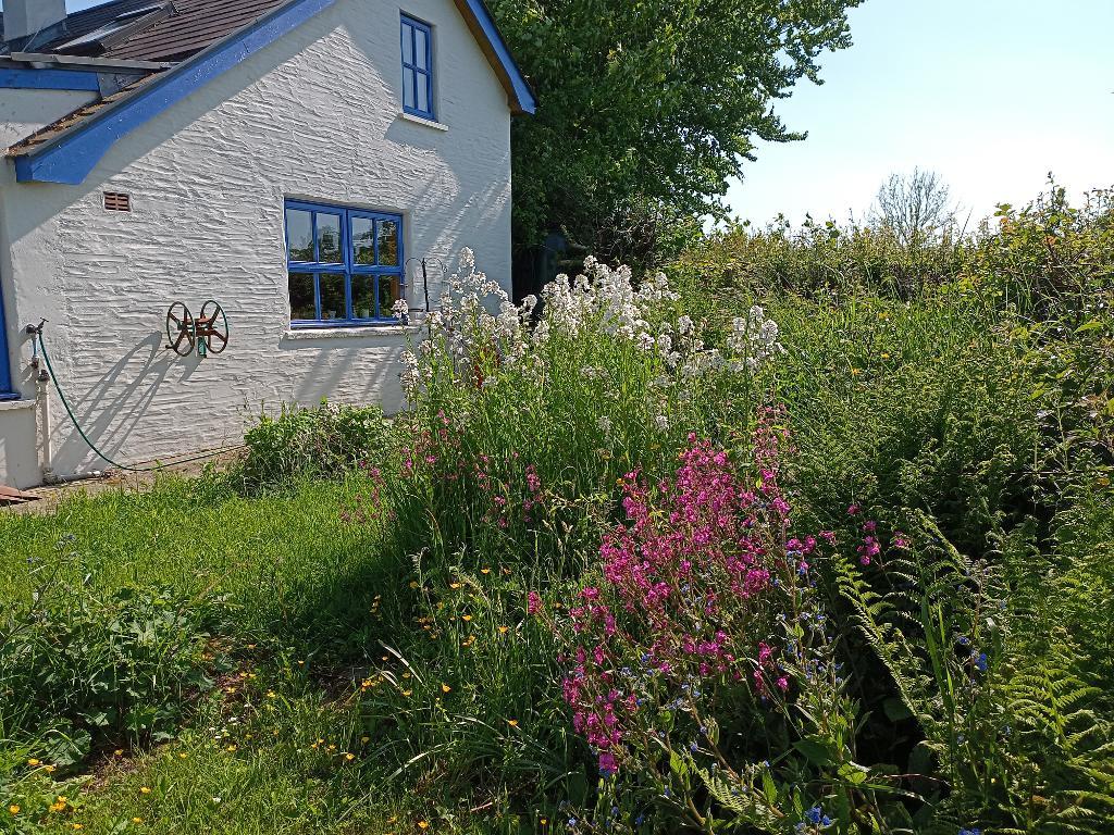 4 Bedroom Cottage for Sale in Rhos, Llandysul, SA44 5AH