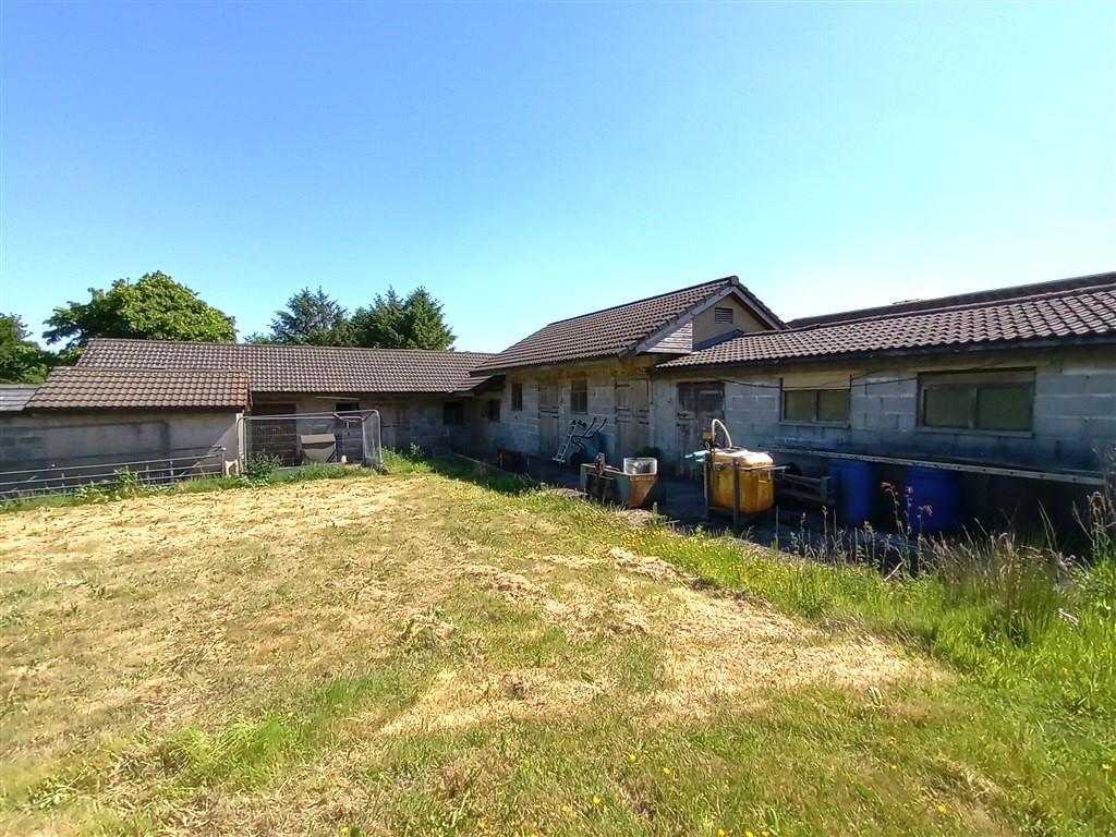 3 Bedroom Detached Bungalow With Land for Sale in Nr Porthyrhyd, SA15 5BD