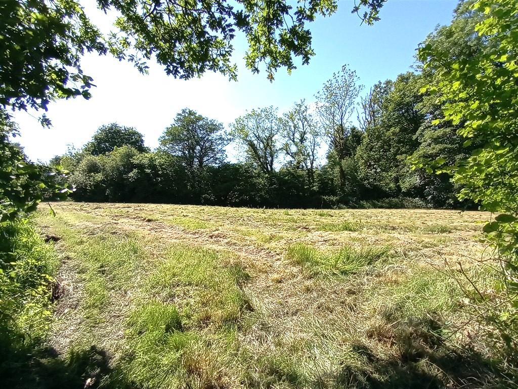 3 Bedroom Detached Bungalow With Land for Sale in Nr Porthyrhyd, SA15 5BD