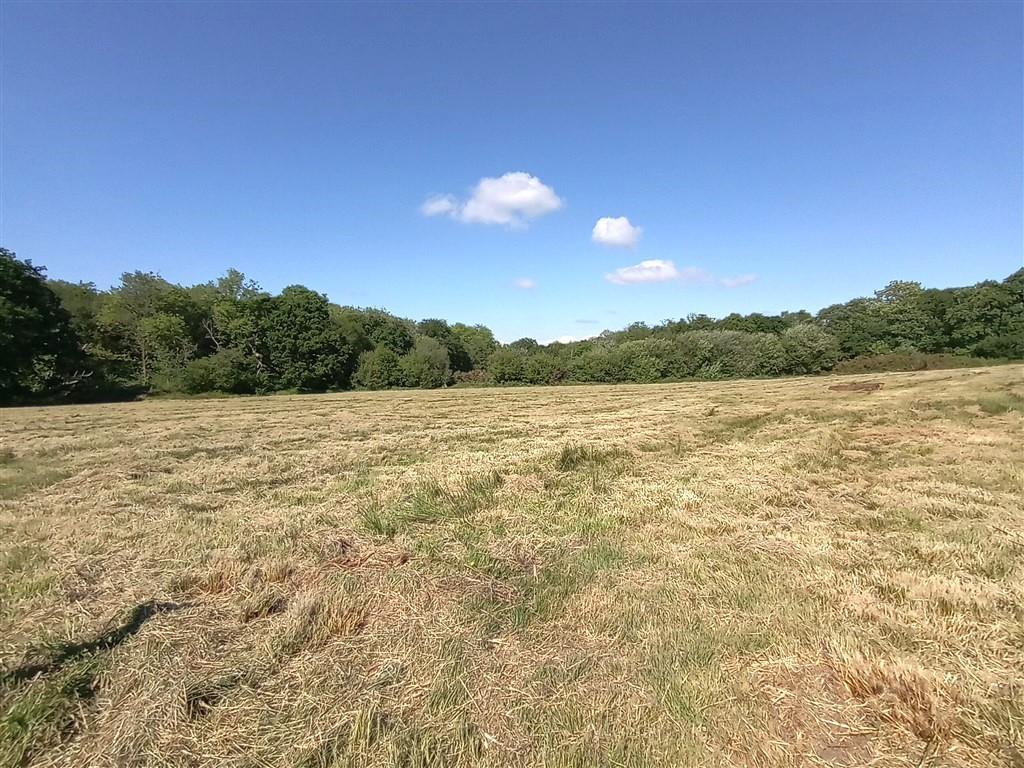 3 Bedroom Detached Bungalow With Land for Sale in Nr Porthyrhyd, SA15 5BD