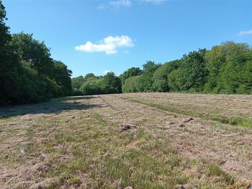 3 Bedroom Detached Bungalow With Land for Sale in Nr Porthyrhyd, SA15 5BD