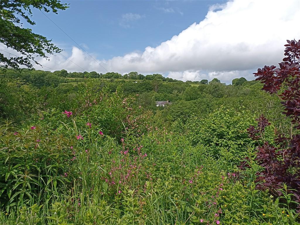 3 Bedroom Detached Bungalow With Land for Sale in Drefach Felindre, SA44 5XJ