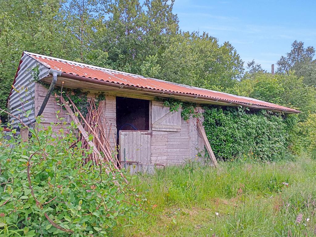 3 Bedroom Detached Bungalow With Land for Sale in Drefach Felindre, SA44 5XJ