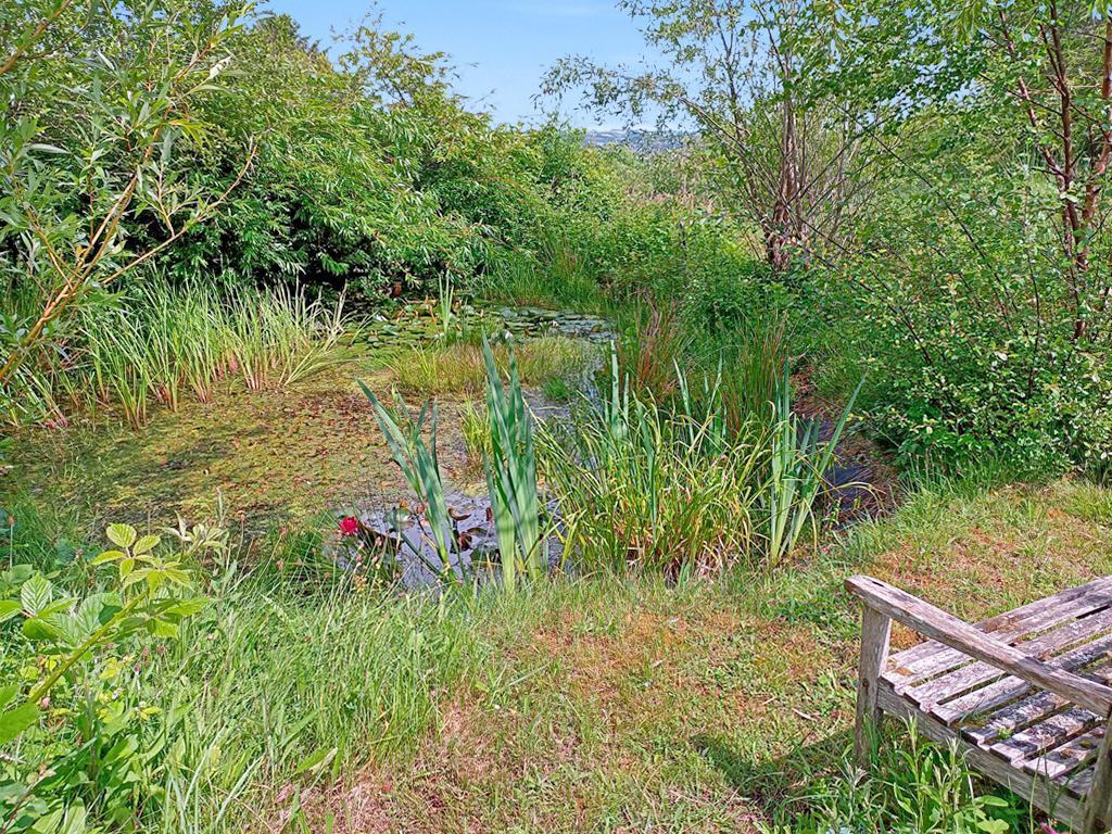 3 Bedroom Detached Bungalow With Land for Sale in Drefach Felindre, SA44 5XJ
