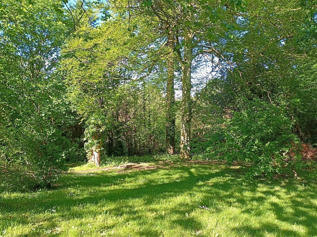 2 Bedroom Cottage for Sale in Ponthirwaun, SA43 2RE