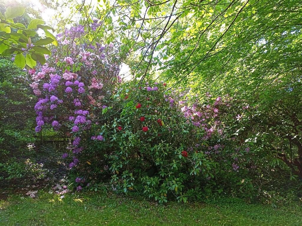 2 Bedroom Cottage for Sale in Ponthirwaun, SA43 2RE
